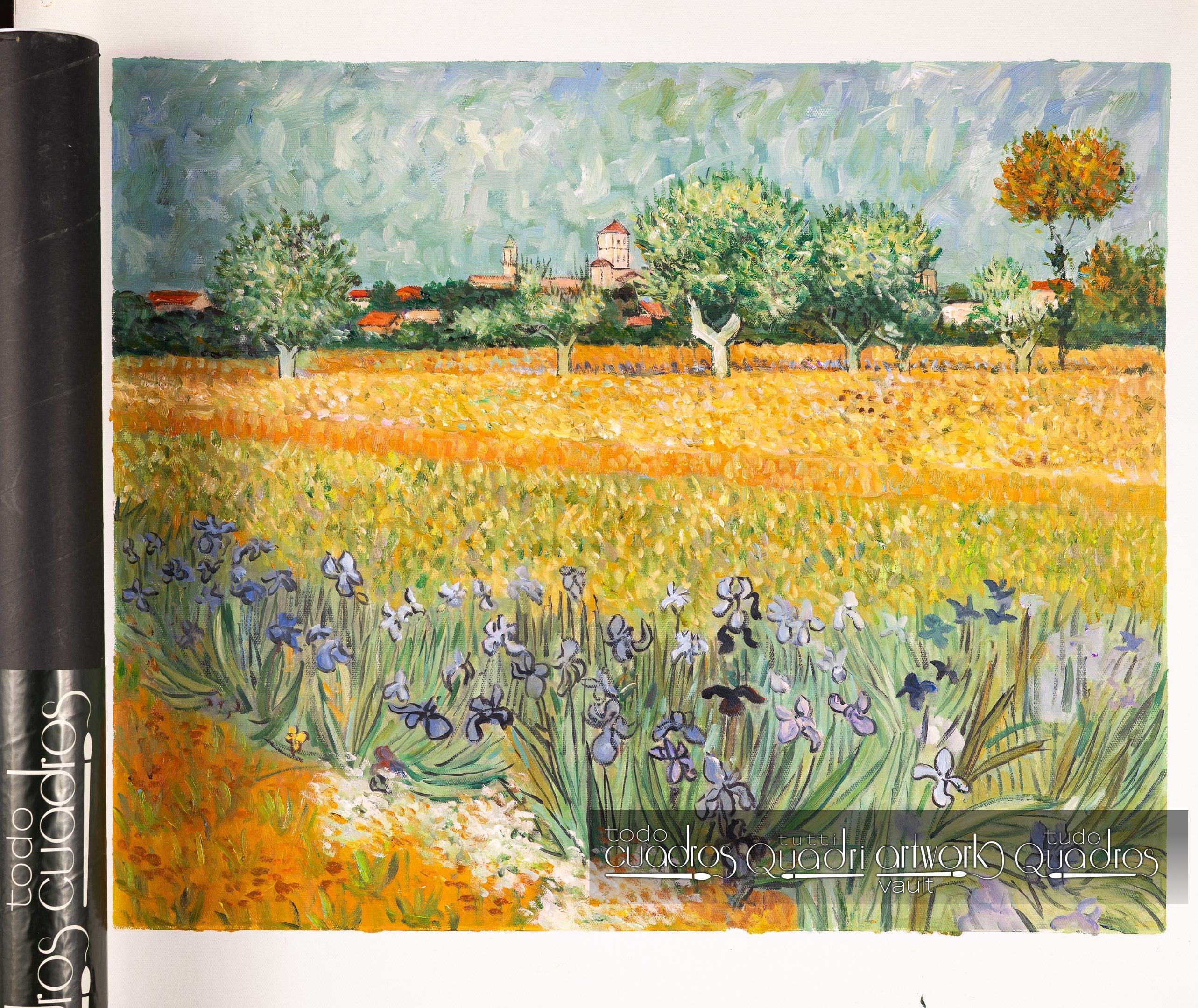 Feld mit Blumen bei Arles, Van Gogh
